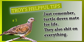 [ Helpful Tips ]