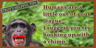 [ Helpful Tips ]
