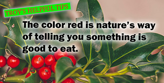 [ Helpful Tips ]