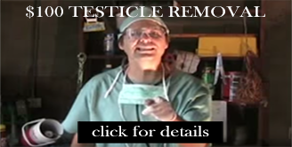 $100 TESTICLE REMOVAL