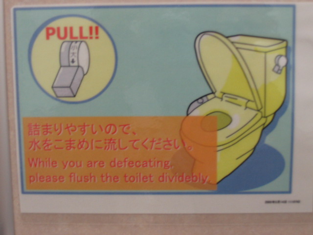 Japanese toilets can't handle American poop